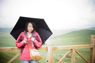 网红夏河2014,网红崛起之路